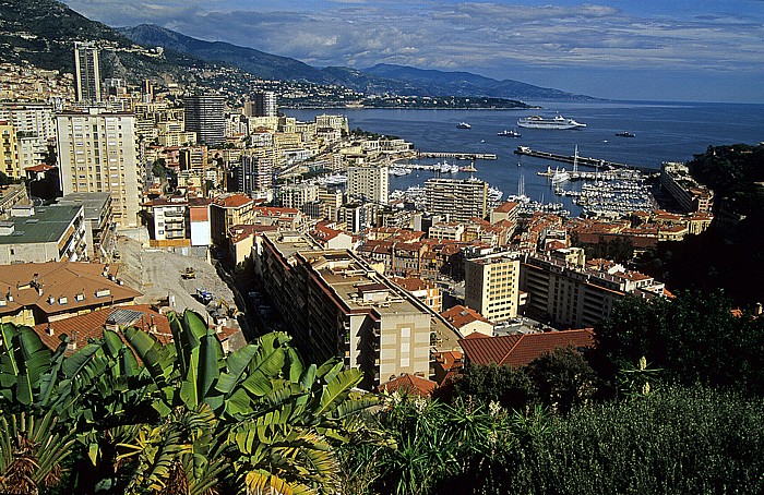Exotischer Garten: Blick auf Hafen und Mittelmeer Monaco