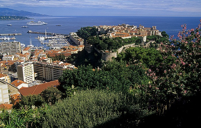 Monaco Exotischer Garten: Blick auf Hafen, Schlosshügel und Mittelmeer Fürstlicher Palast Kathedrale Ozeanografisches Museum