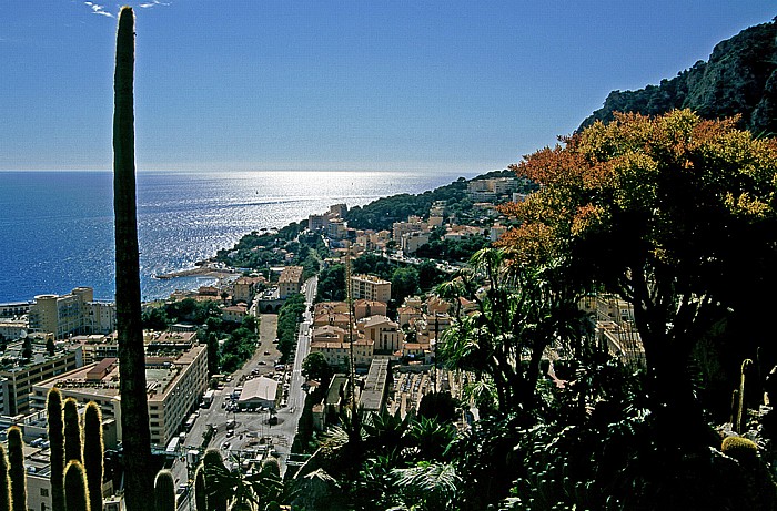 Exotischer Garten Monaco