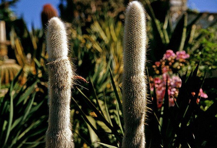 Exotischer Garten Èze