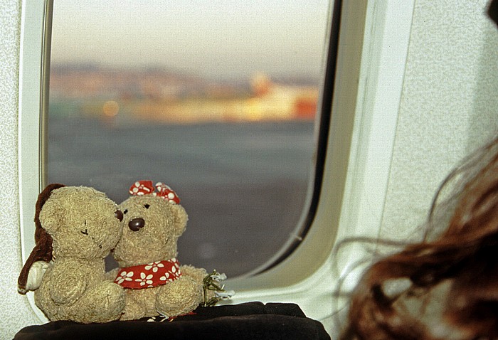 Nizza Flughafen Côte d' Azur: Teddy und Teddine im Flugzeug Flughafen Cote d' Azur