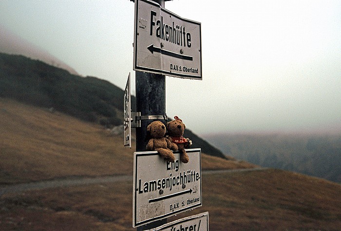 Hohljoch Teddy und Teddine