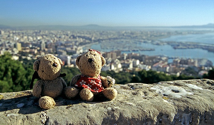Palma de Mallorca Castell de Bellver: Teddy und Teddine Hafen