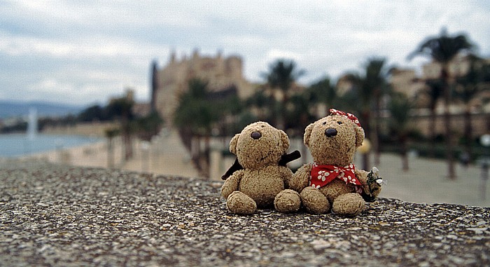 Palma de Mallorca Teddy und Teddine Kathedrale Parc de la Mar
