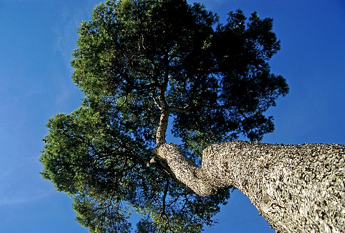 Sant Joan Els Calderers