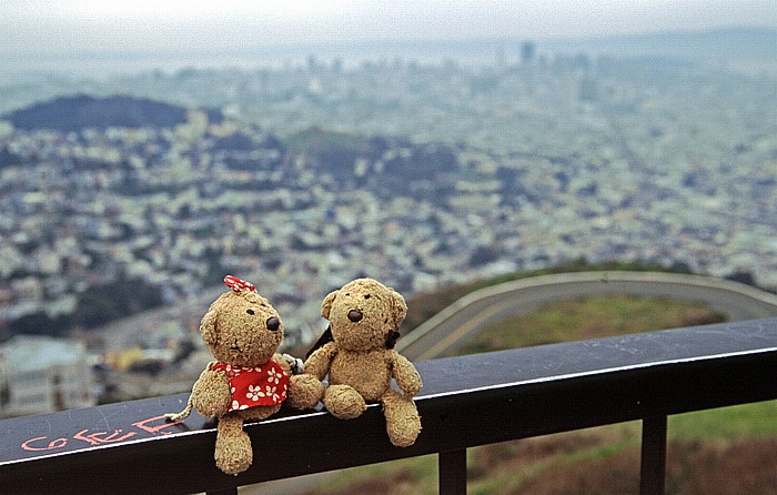 San Francisco Twin Peaks: Teddine und Teddy San Francisco Bay