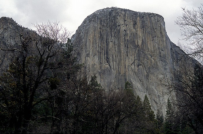 El Capitan Yosemite Valley