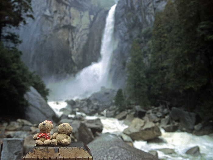 Yosemite Valley Teddine und Teddy Merced River Yosemite Falls