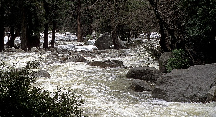 Yosemite Valley Merced River