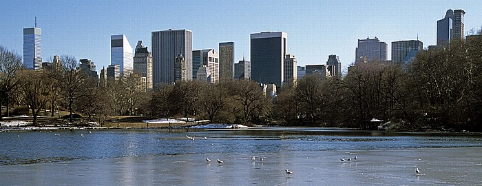Central Park: The Pond New York City