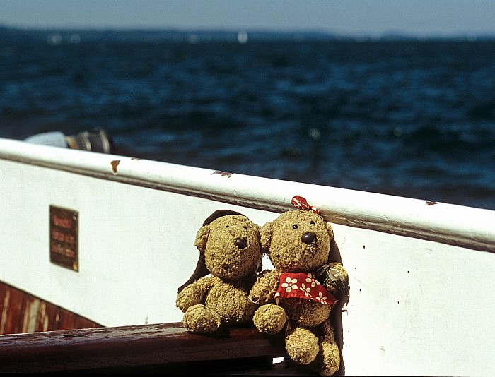 Starnberger See Teddy und Teddine