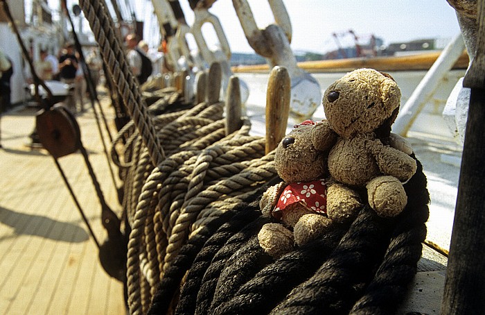 Kiel Viermastbark Sedov: Teddine, Teddy Viermastbark Sedov