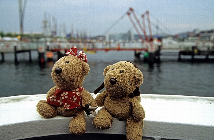 Kiel Teddine, Teddy Hafen Hörnbrücke