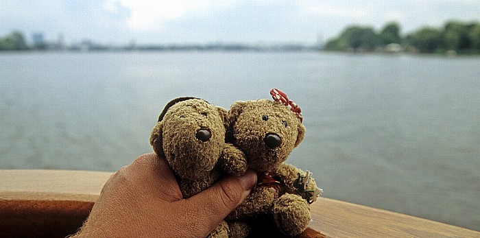 Hamburg Außenalster: Teddy und Teddine