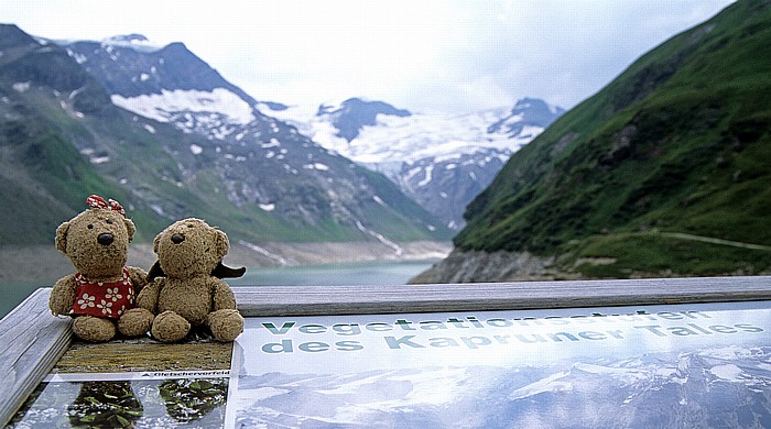 Kapruner Tal Teddine und Teddy am Stausee Mooserboden