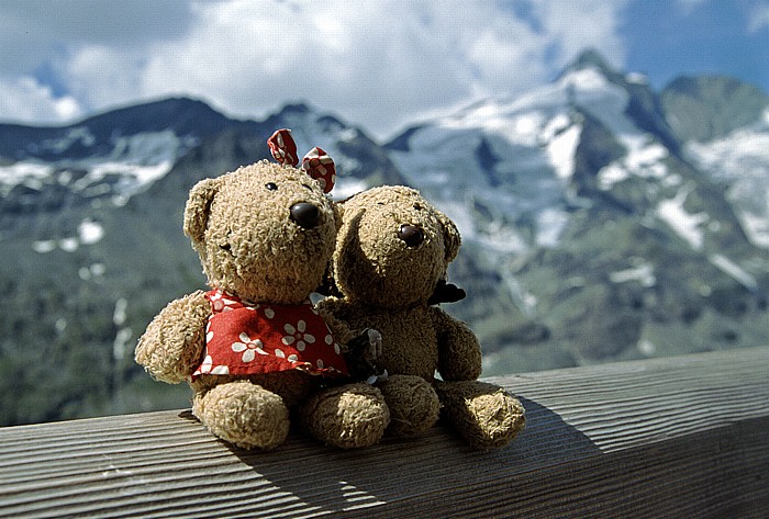 Franz-Josefs-Höhe Teddine und Teddy