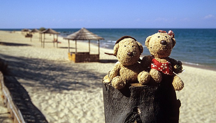 Nkhotakota Strand: Teddy und Teddine
