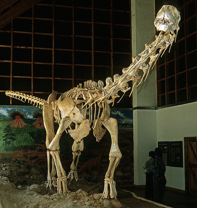 Cultural & Museum Center: Malawisaurus Karonga