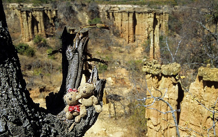 Isimilia Erdpyramiden: Teddine und Teddy