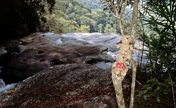 Udzungwa Mountains National Park Sanje-Wasserfall