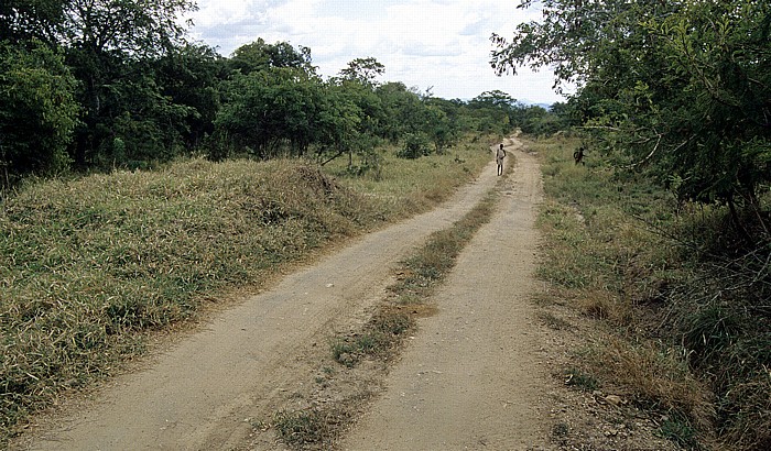 Tansania Straße zwischen Uluguru Mountains und Selous Wildreservat