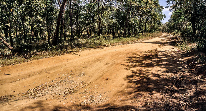 Tansania Straße zwischen Selous Wildreservat und Daressalam
