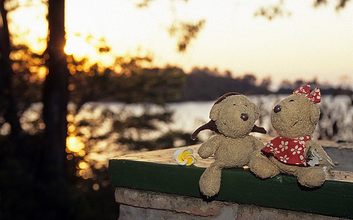 Kibuye Centre Bethanie: Teddy und Teddine