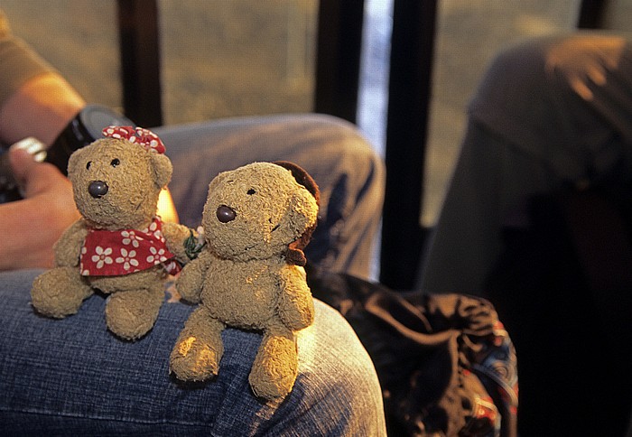 Ätna Seilbahn: Teddine, Teddy