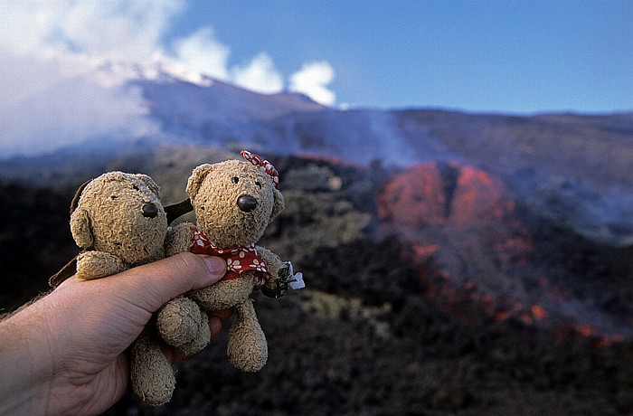 Ätna Valle del Bove: Teddy und Teddine