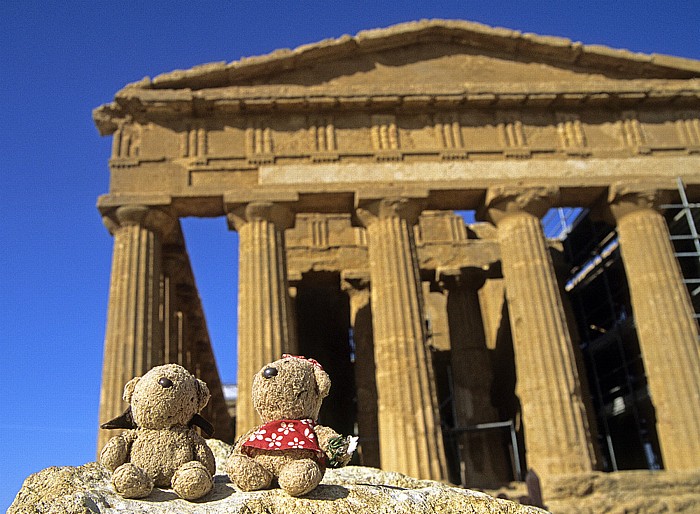 Agrigent Tal der Tempel: Concordia-Tempel: Teddy und Teddine