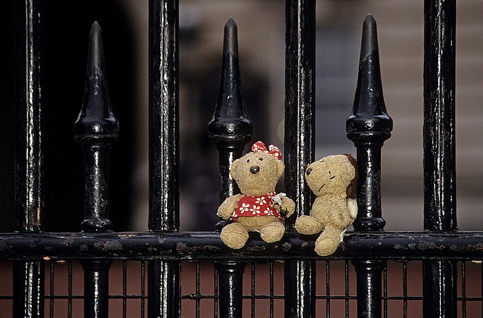 London Buckingham Palace: Teddine und Teddy