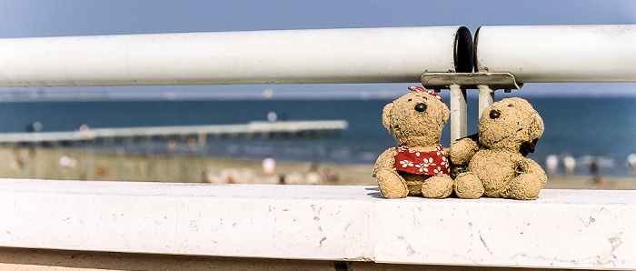 Venedig Lido di Venezia: Teddine und Teddy