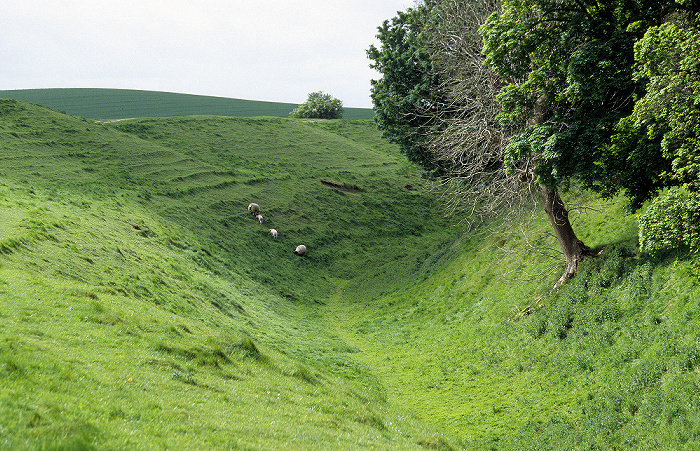 Avebury Äußerer großer Steinkreis: Südost-Sektor mit Erdwall und Schafe