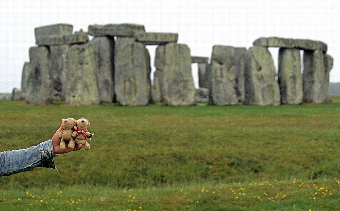 Stonehenge Teddy, Teddine
