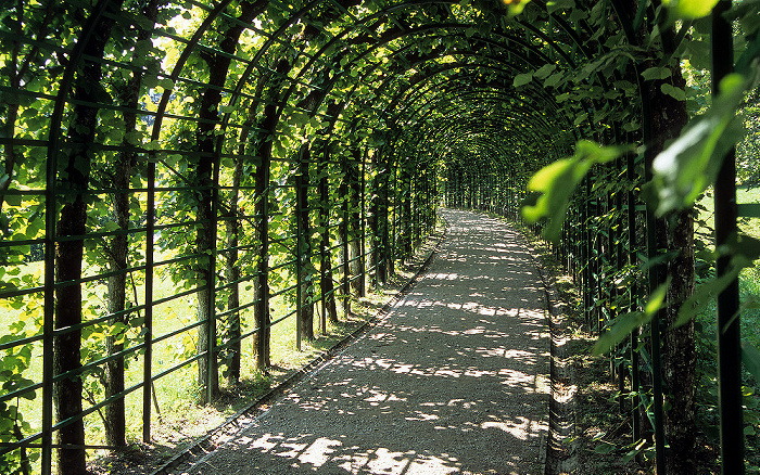 Linderhof Schlosspark (Nordhang): Laubengang