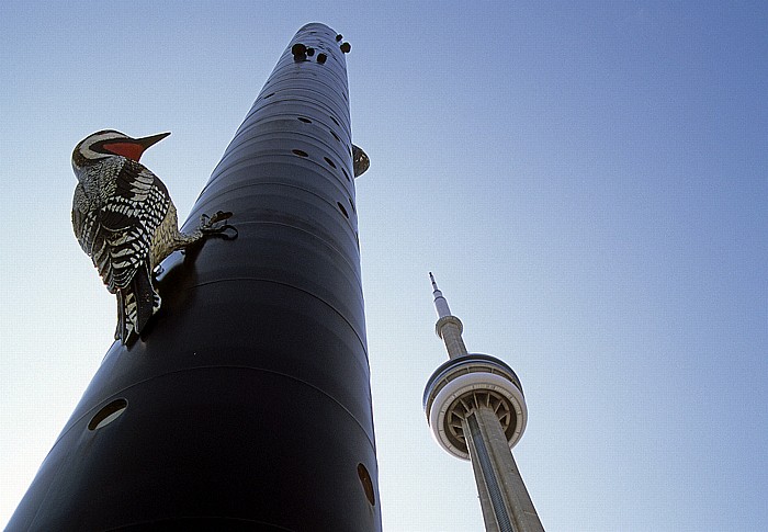 Toronto Woodpecker Column (Fastwurms), CN Tower