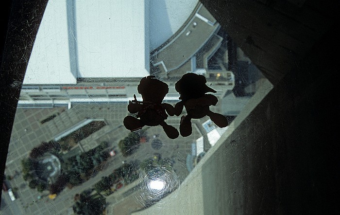 Toronto CN Tower: Teddine und Teddy SkyDome