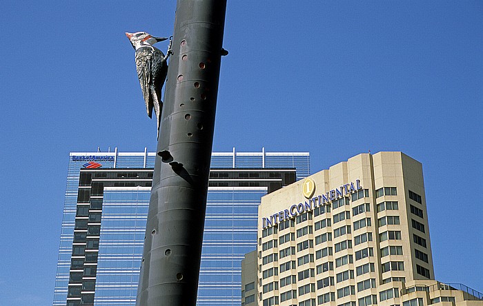 Toronto Woodpecker Column (Fastwurms) InterContinental Toronto Centre Simcoe Place