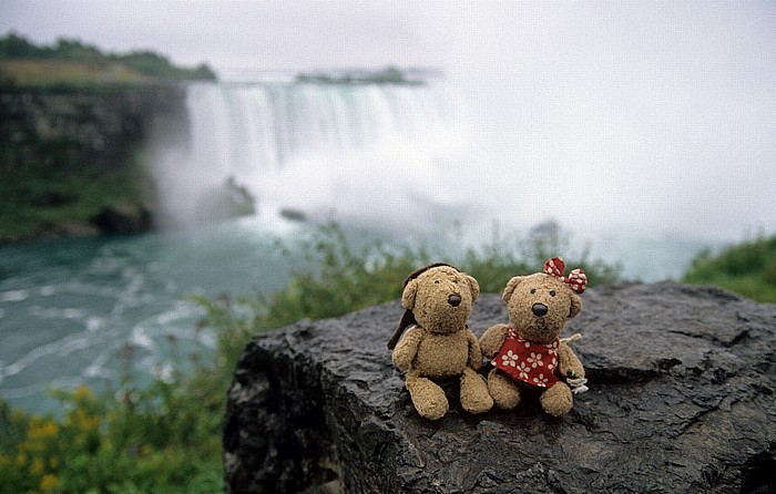 Niagara Falls Niagarafälle: Teddy und Teddine Goat Island Horseshoe Falls