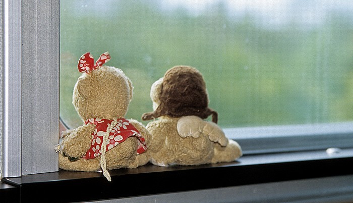 Ontario The Canadian: Teddine und Teddy