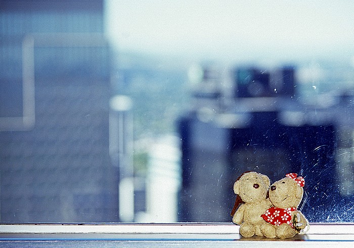 Blick aus dem Calgary Tower: Teddy und Teddine Downtown