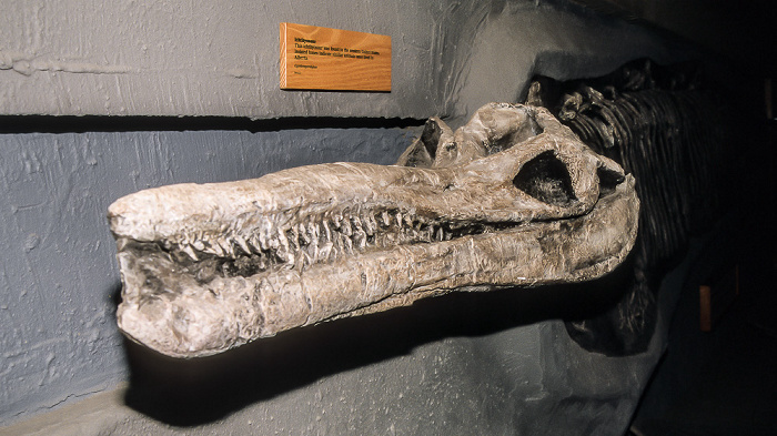 Royal Tyrrell Museum Drumheller