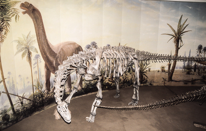 Royal Tyrrell Museum Drumheller