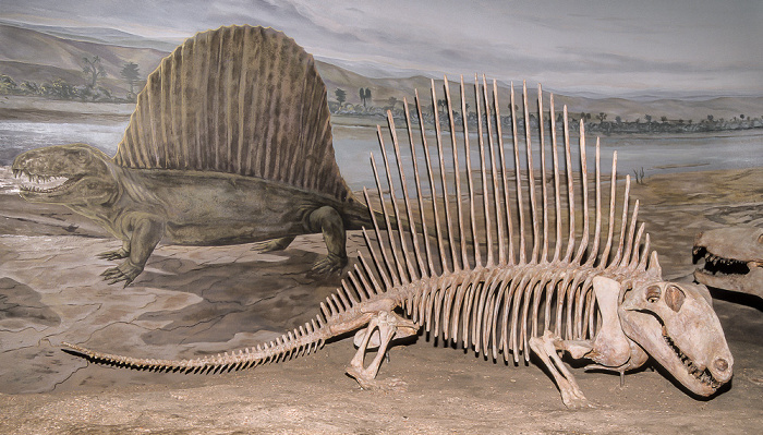 Royal Tyrrell Museum Drumheller