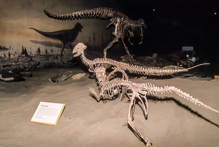 Royal Tyrrell Museum Drumheller