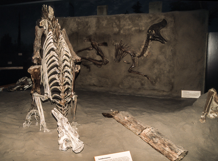 Royal Tyrrell Museum Drumheller