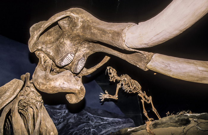 Royal Tyrrell Museum Drumheller