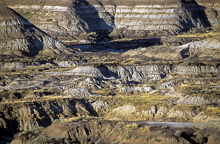 Horseshoe Canyon