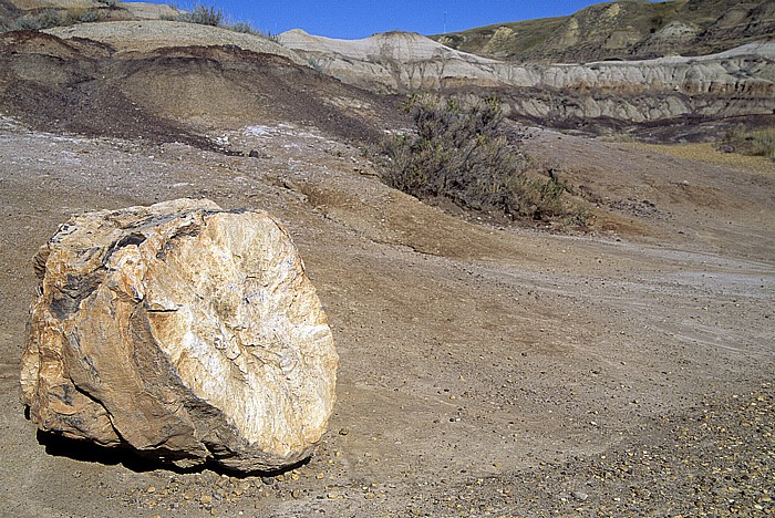 Drumheller