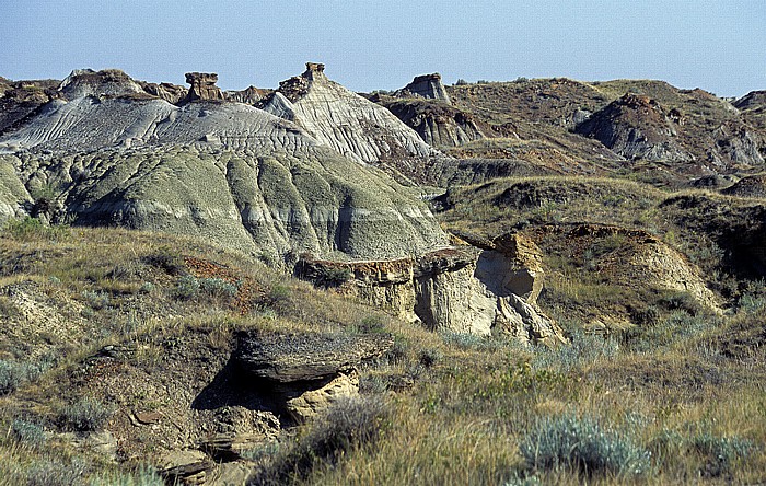 Dinosaur Provincial Park